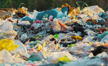 Un chercheur de l’UMONS obtient un financement de près de 700.000 € pour un projet sur la gestion plus durable des déchets plastiques