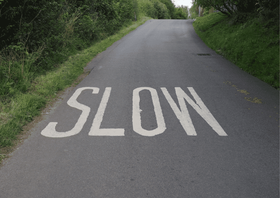 Photo illustrant l’événement suivant: Conférence - Ralentir pour mieux comprendre : une invitation à la slow science