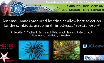 Deux chercheuses UMONS remportent un Award lors du congrès de l’International Society of Chemical Ecology