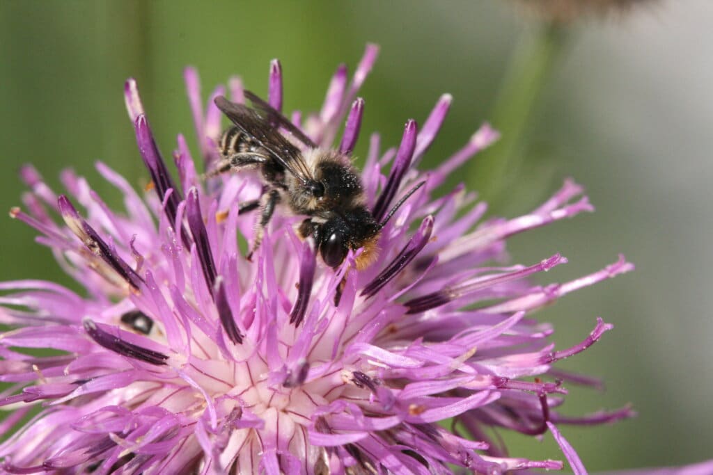 Réforme européenne des pesticides : l’UMONS et 26 institutions de recherche alertent sur les risques pour la santé et la biodiversité