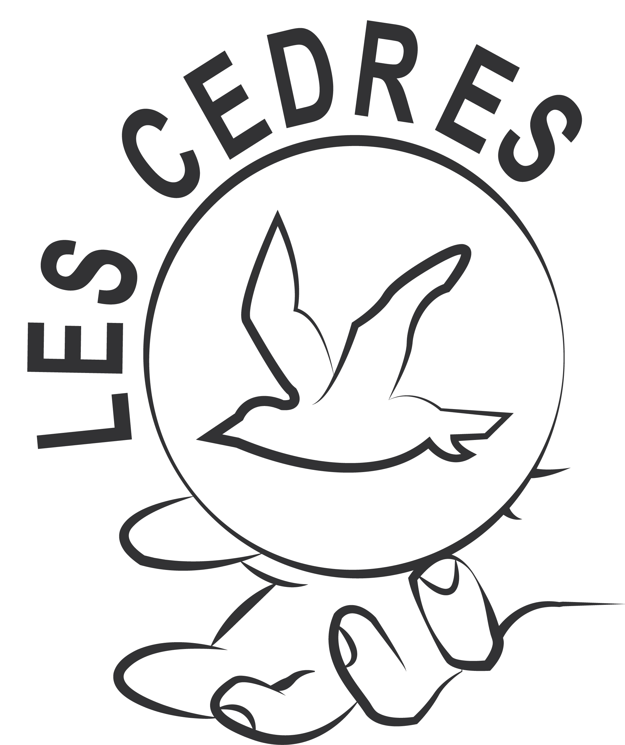 LES CEDRES