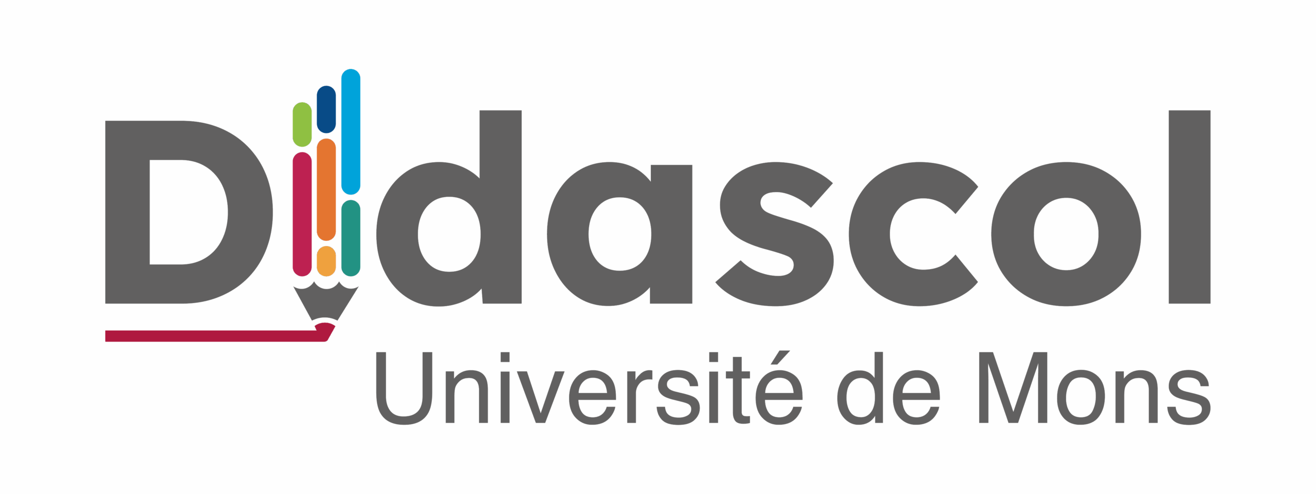 Didactique des disciplines scolaires