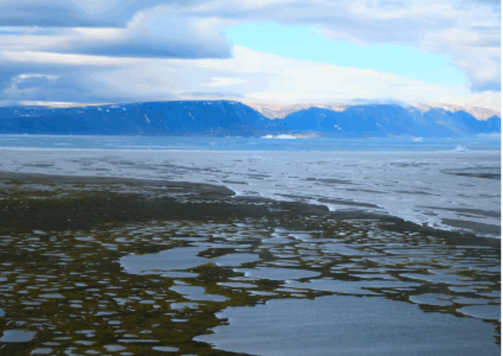 Climat : l’UMONS et ses partenaires explorent l’adaptation des microbes du pergélisol au réchauffement arctique