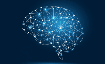 L’UMONS contribue à une théorie inattendue expliquant comment le cerveau choisit nos gestes