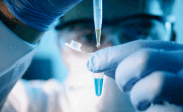 3 projets d’excellence de l’UMONS sélectionnés dans le cadre du programme WEL-T