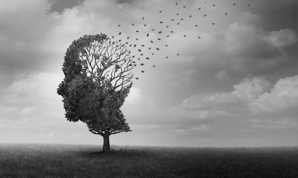 Un mémoire primé explore une piste de prise en charge du langage chez les patients Alzheimer