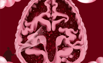 Conférence de mars 2026 du cycle LES INVITES DE L’UMONS à Charleroi