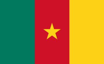 Coopérations universitaires avec les écoles d’ingénieurs au Cameroun : des projets aux réalisations