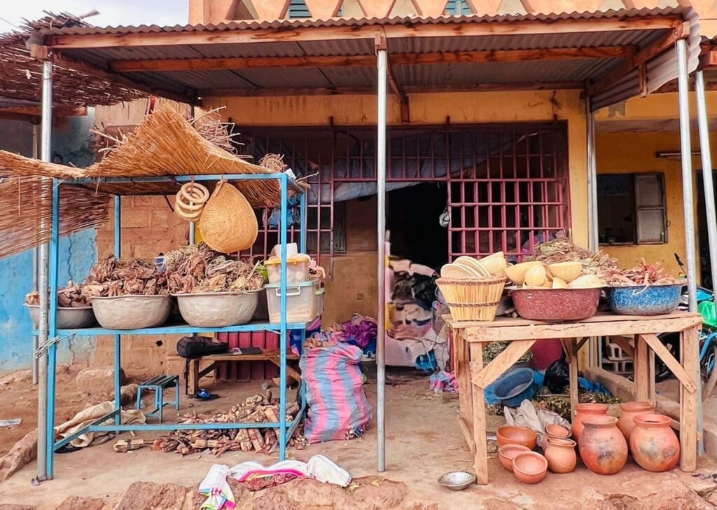 Projet MT-QUAL : Centres de médecine traditionnelle au Burkina Faso