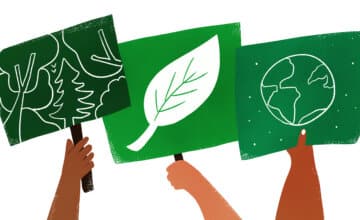 Trois universités, un même élan pour la planète