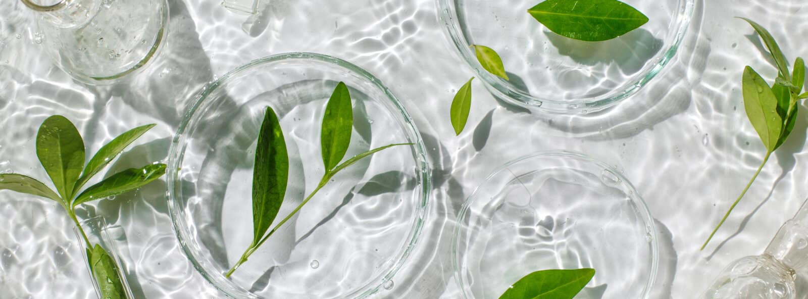 Photo illustrant l’événement suivant: Journée d’étude – Repenser la preuve : vers une écologie des pratiques entre médecine(s) moderne et traditionnelles ?