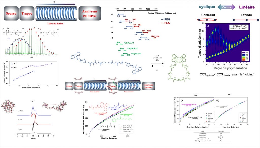 New mini review dealing with the results on ion mobility of polymers published by the S²MOs lab during these last 10 years