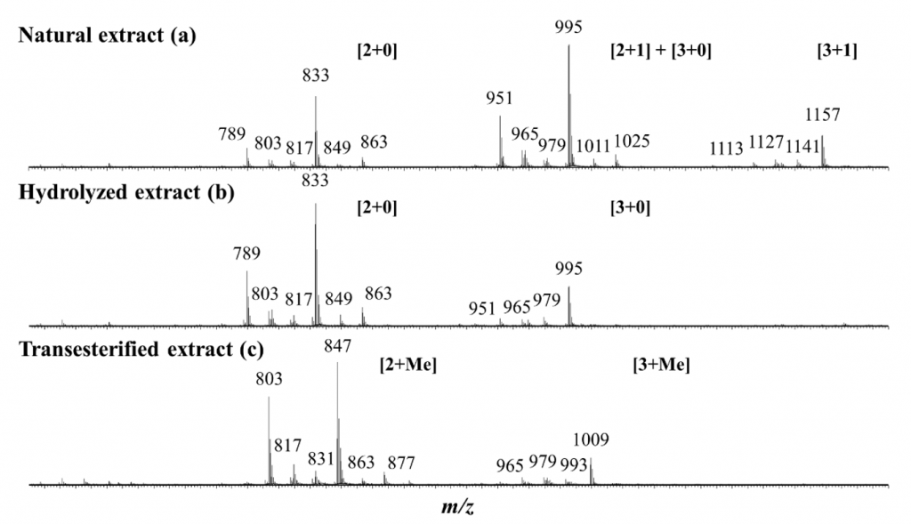 Impact of the Hydrolysis and Methanolysis of Bidesmosidic Chenopodium quinoa Saponins on Their Hemolytic Activity