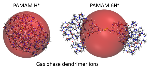 Just accepted paper in JASMS by Fabrice Saintmont on the structure of dendrimers in the gas phase